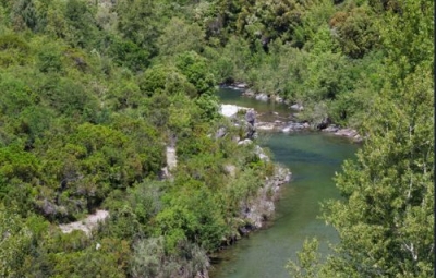 Photo du fleuve Tavignano
