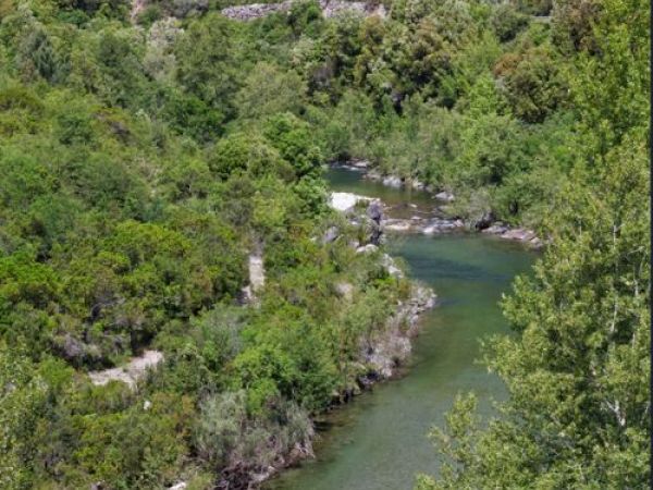 Photo du fleuve Tavignano